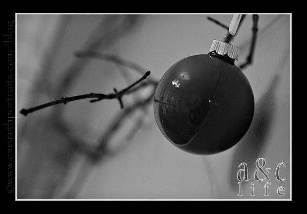 Jesse2n3-006 Jesse2n3-006